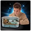 Star Wars Dagobah Swamp Frog Habitat